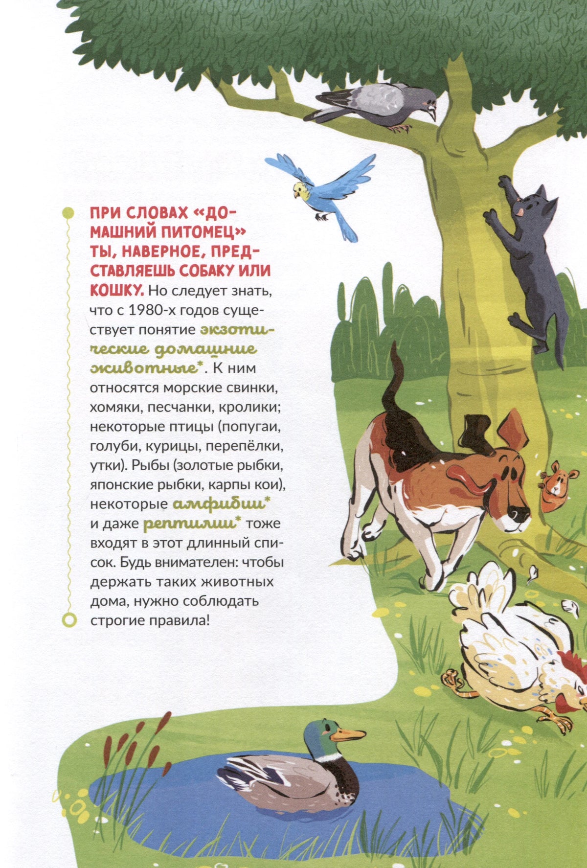 Страница о домашних животных с собакой, кошкой, птицами и уткой у пруда.