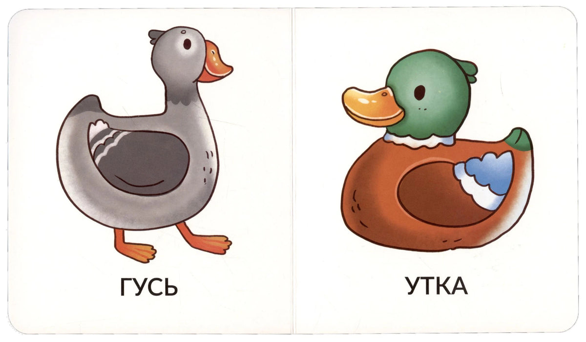 Разворот с рисунками гуся и утки, подписями «ГУСЬ» и «УТКА»