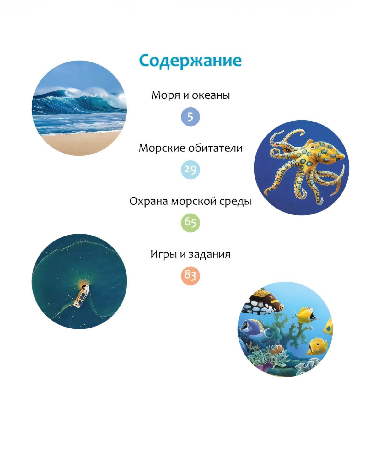 Море и его обитатели null - 2