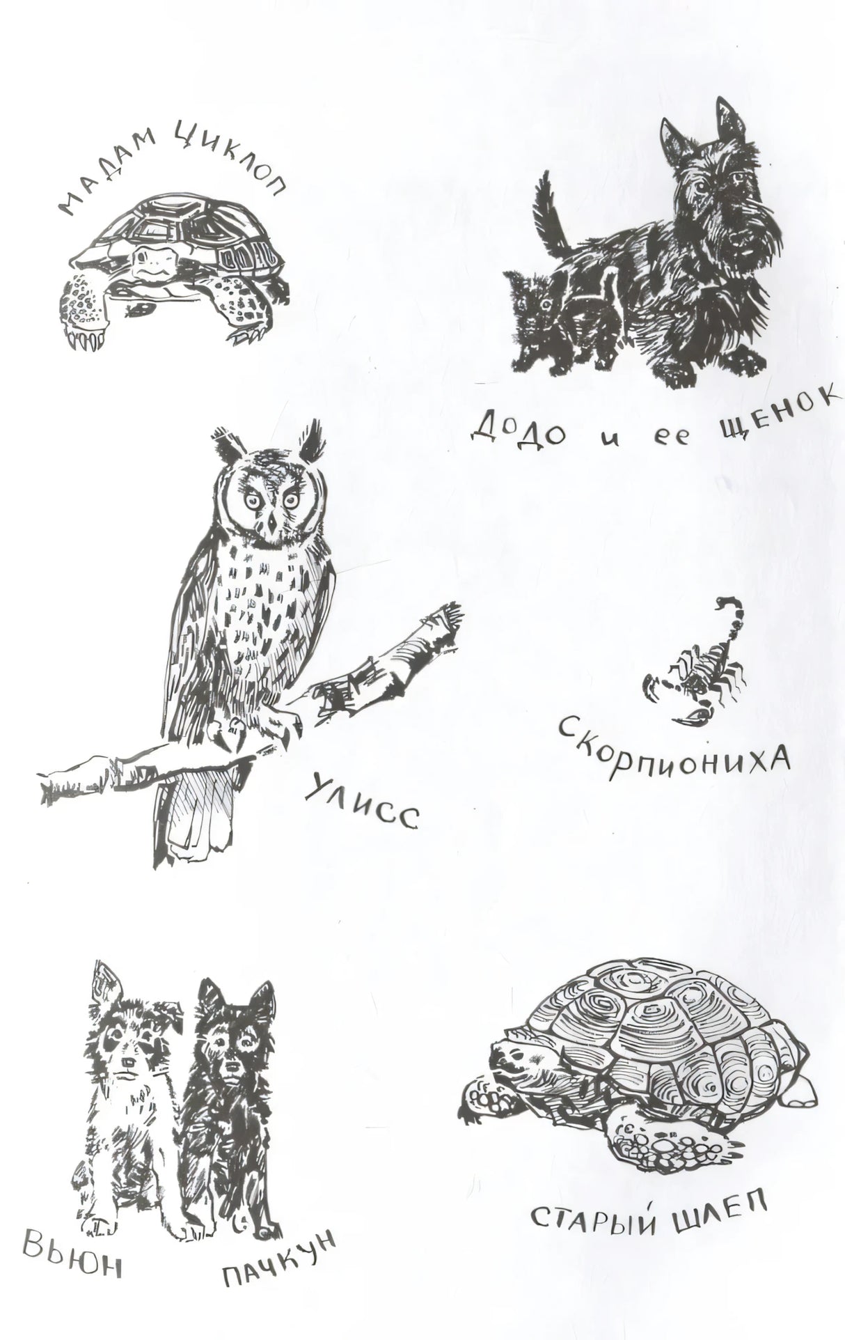 Даррелл Дж. Моя семья и другие звери (нов.) 9785353111528