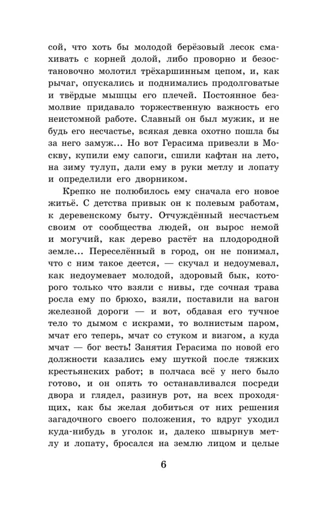 Текст рассказа «Муму», страница 6
