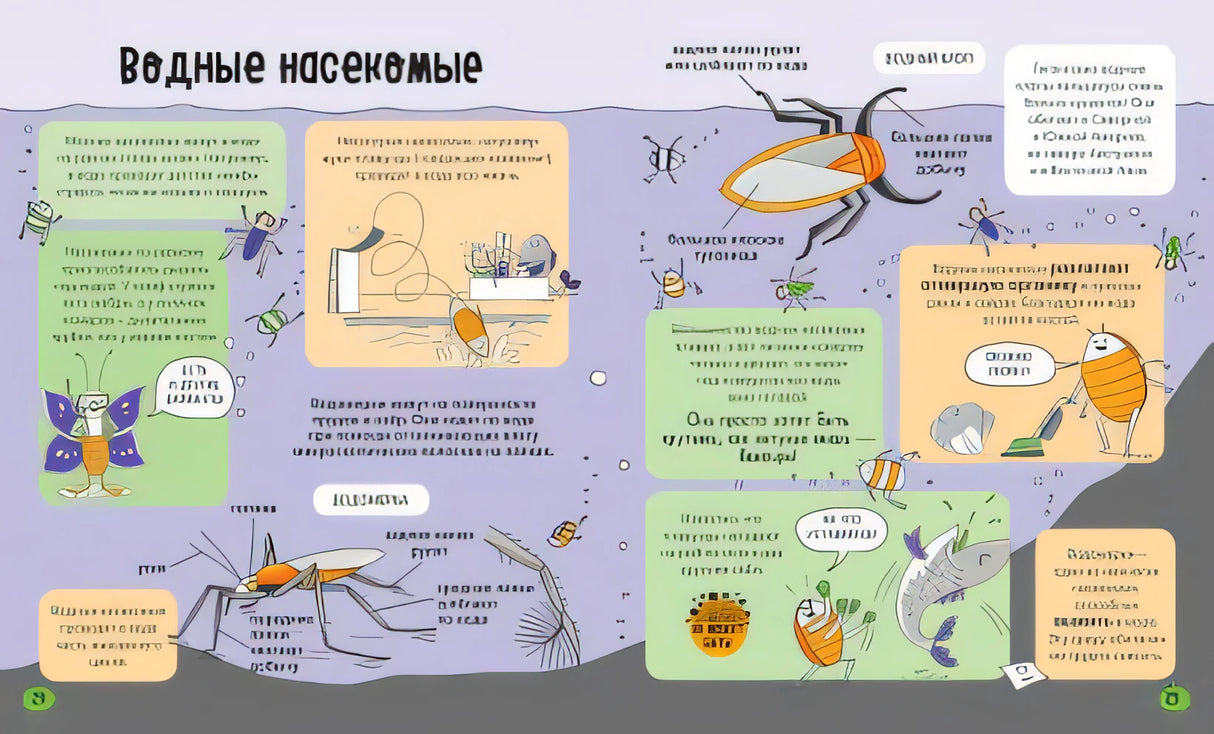 Насекомые и не только