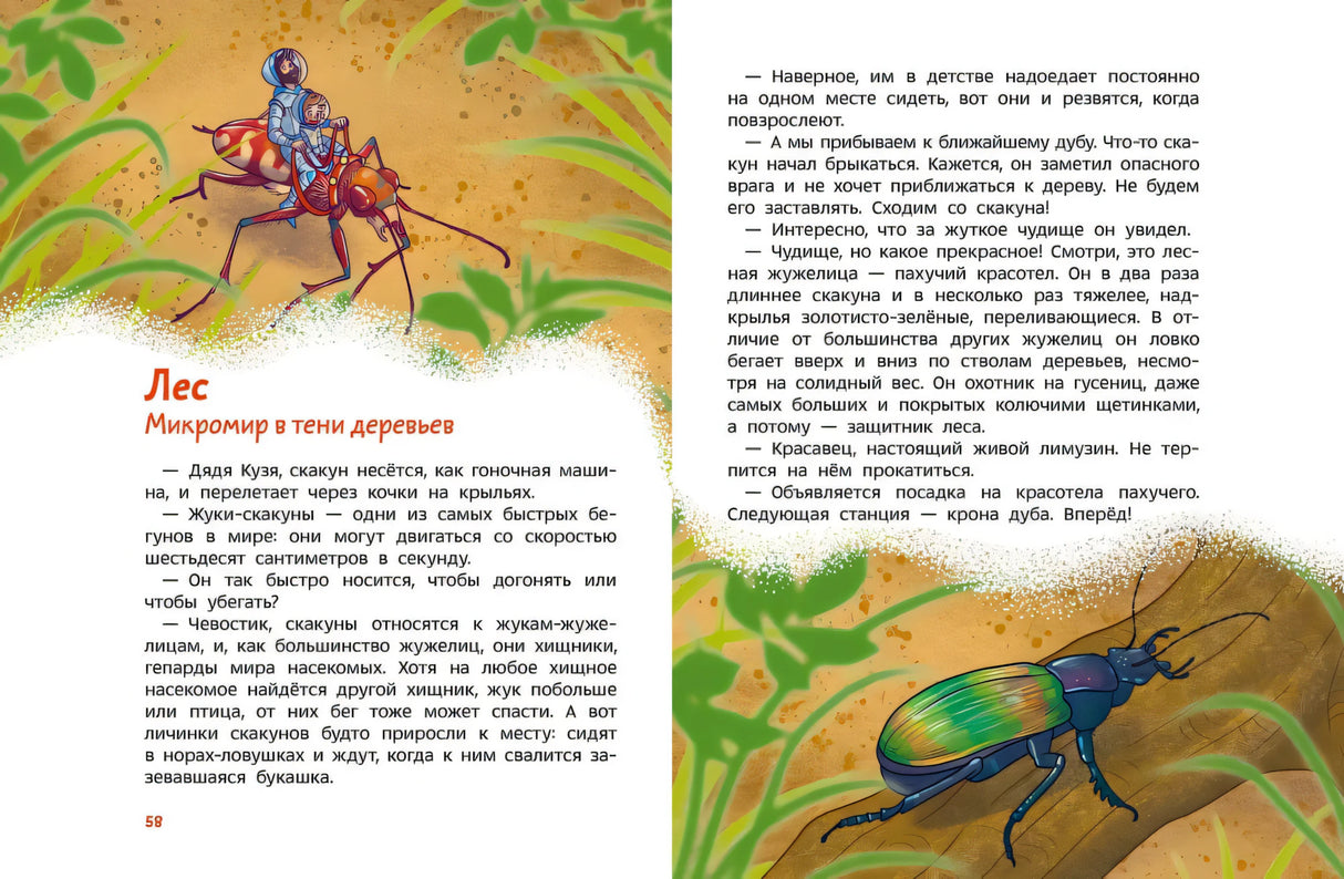 Насекомые и пауки. Детская энциклопедия null - 8