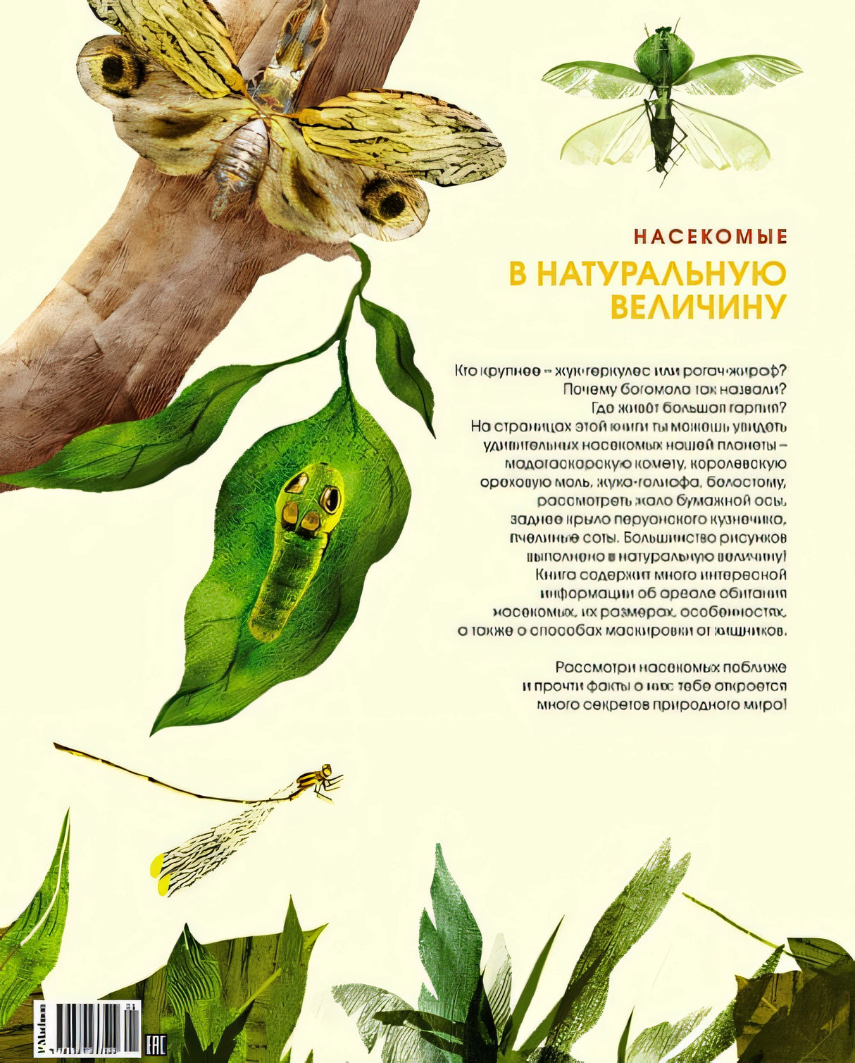 Насекомые в натуральную величину 978-5-389-23352-2 - 4