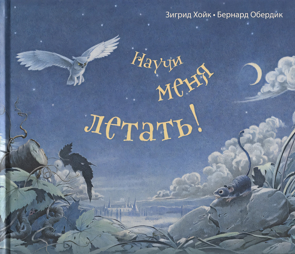 Обложка Научи меня летать! 978-5-91921-612-4