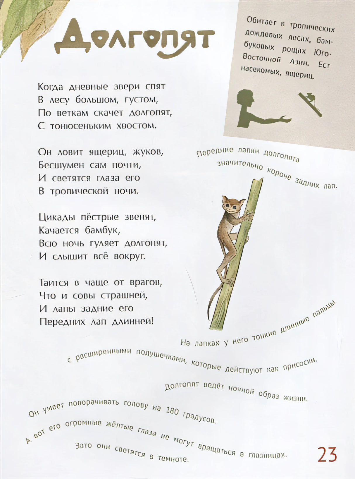 Необыкновенные звери 978-5-907147-71-3 - 3