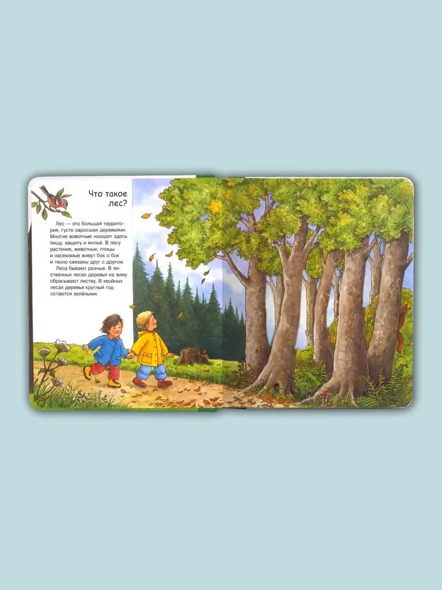 Что? Почему? Зачем? Малышу. Лес (с волшебными окошками).