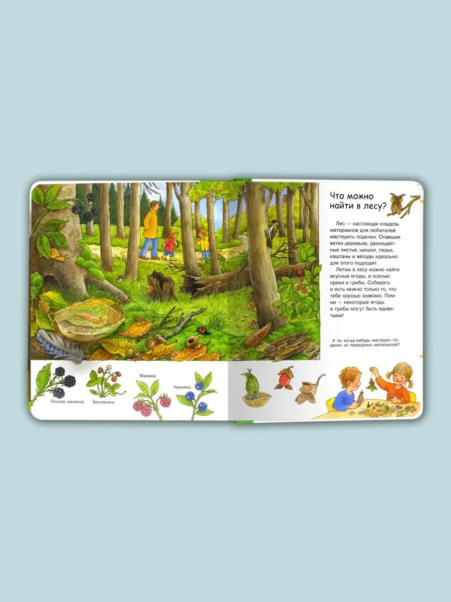 Что? Почему? Зачем? Малышу. Лес (с волшебными окошками).