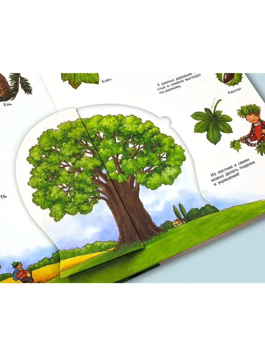 Что? Почему? Зачем? Малышу. Лес (с волшебными окошками).