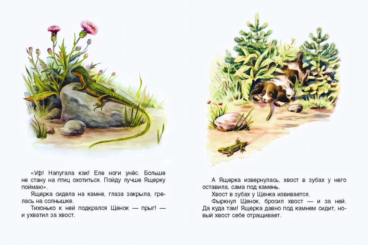 Разворот: ящерка на камне и щенок, поймавший её за хвост.