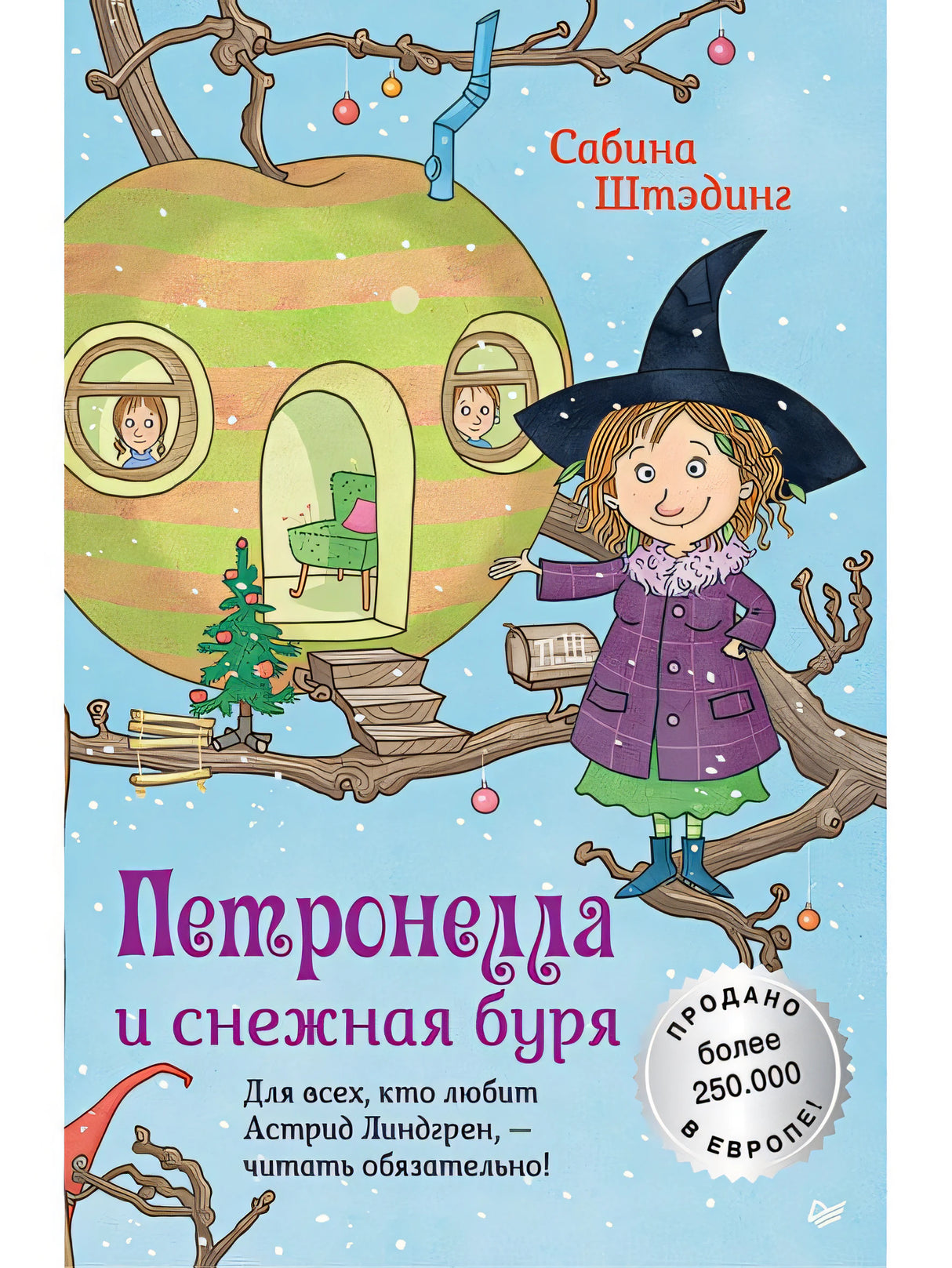 Обложка Петронелла и снежная буря 978-5-00116-131-8