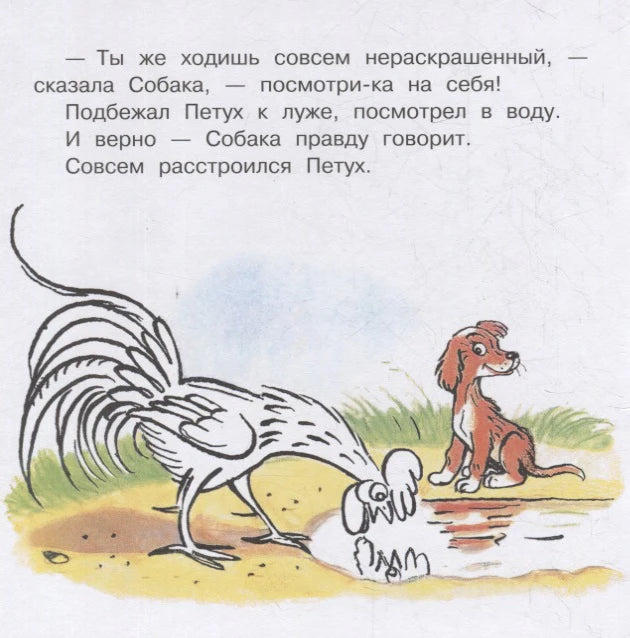 Страница сказки: петух смотрит на своё отражение в луже, рядом сидит собака