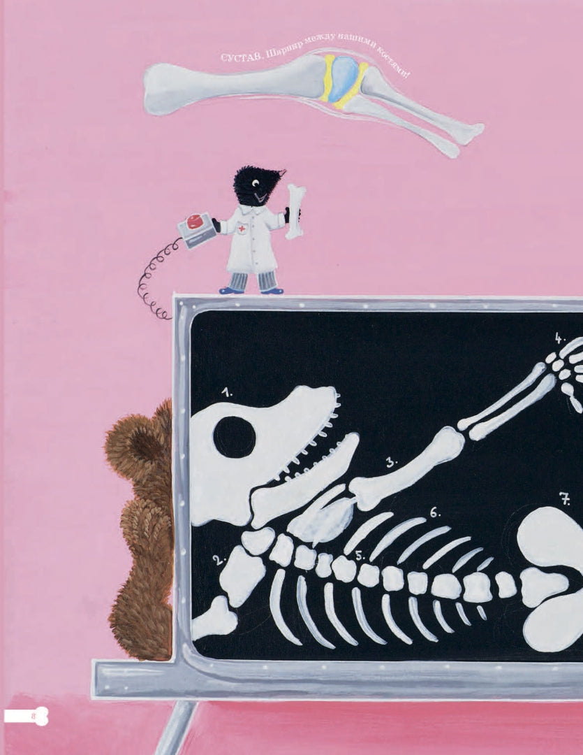 Кости, мозг и все остальное. Большая книга о том, как работает твое тело