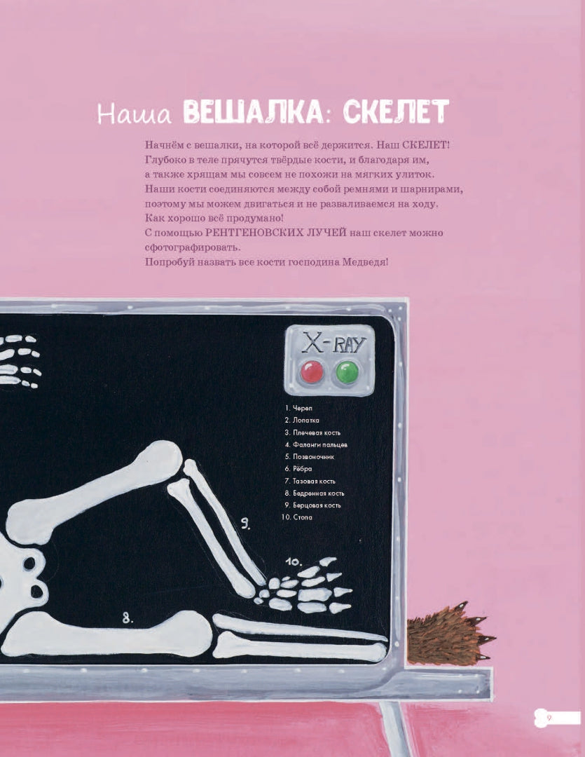 Кости, мозг и все остальное. Большая книга о том, как работает твое тело