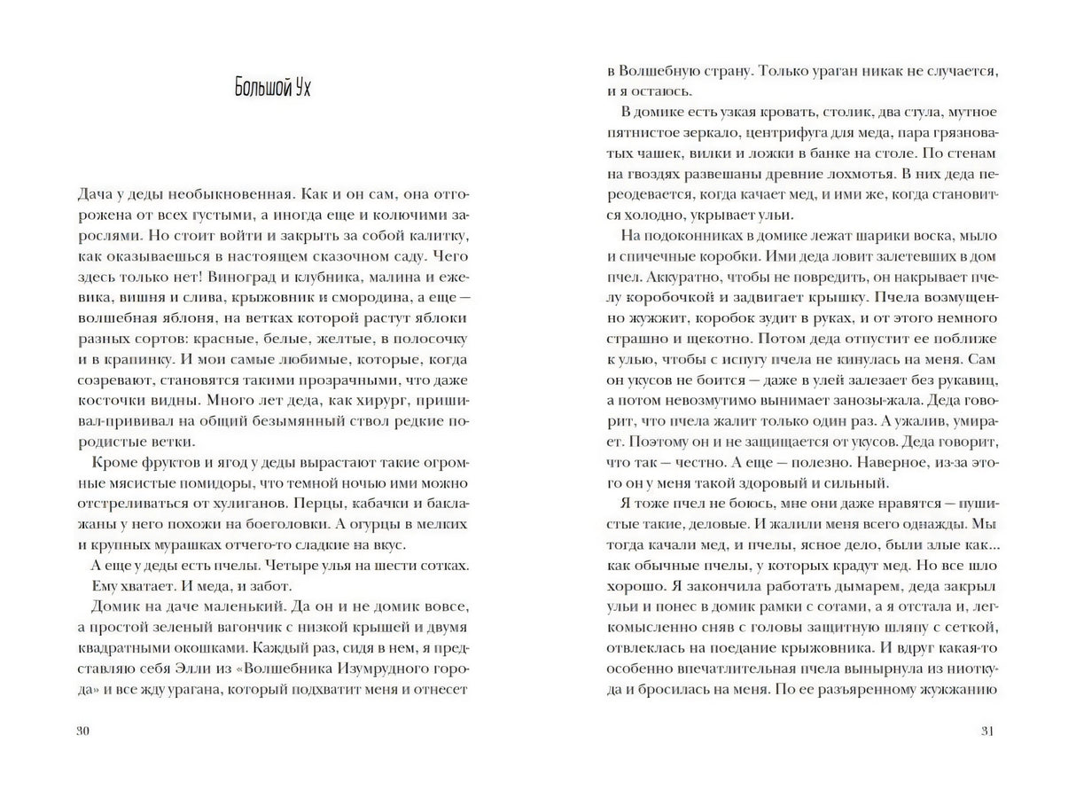 Пирог с черемухой 9785001143062