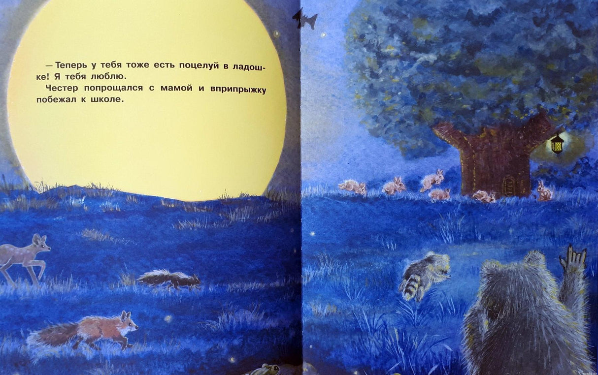 иллюстрация из книги Поцелуй в ладошке - енот Честер идет в школу