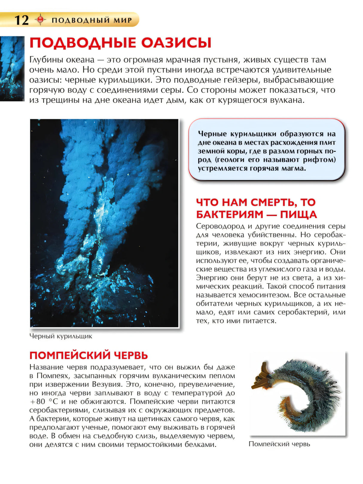 Подводный мир. Детская книга