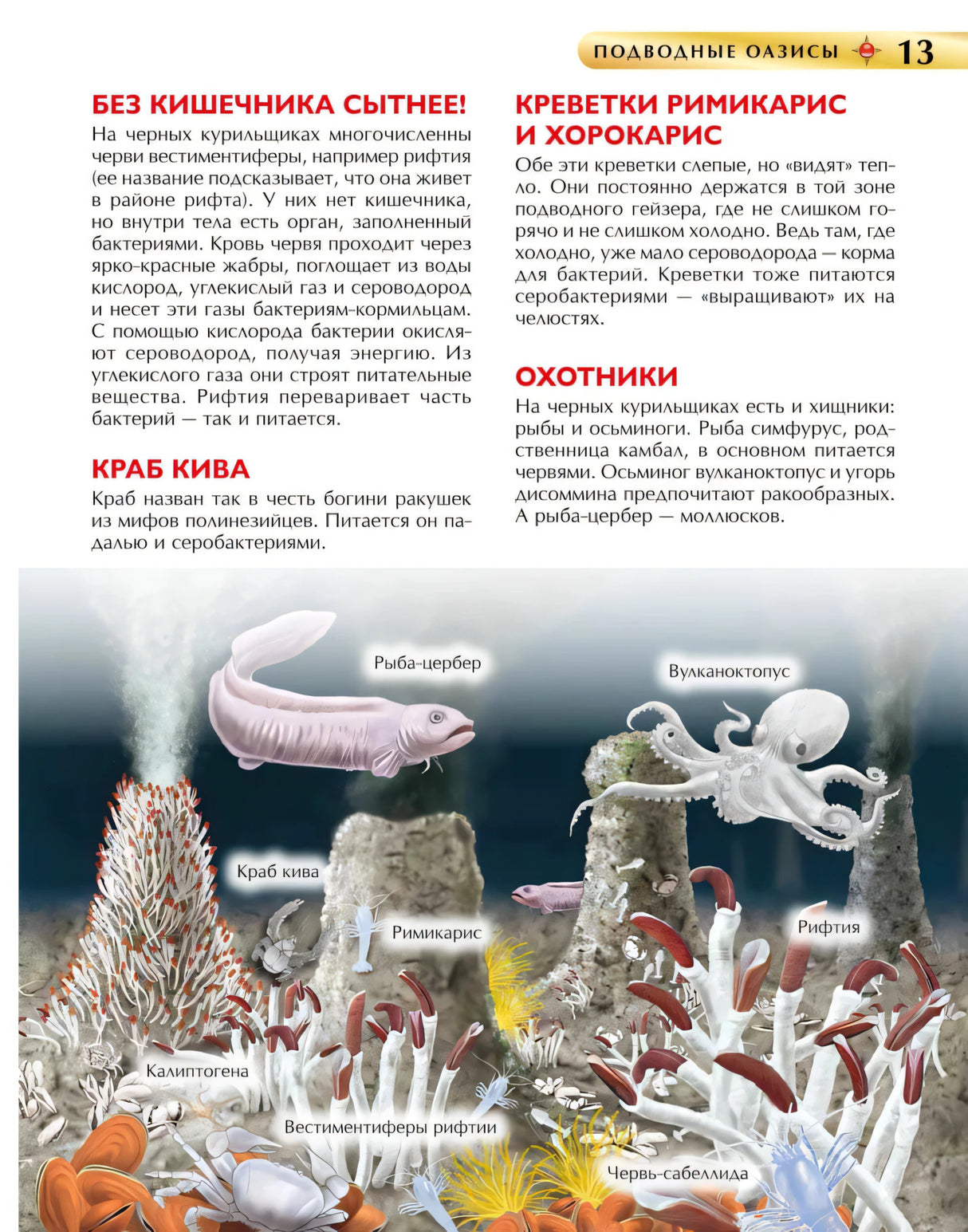 Подводный мир. Детская книга