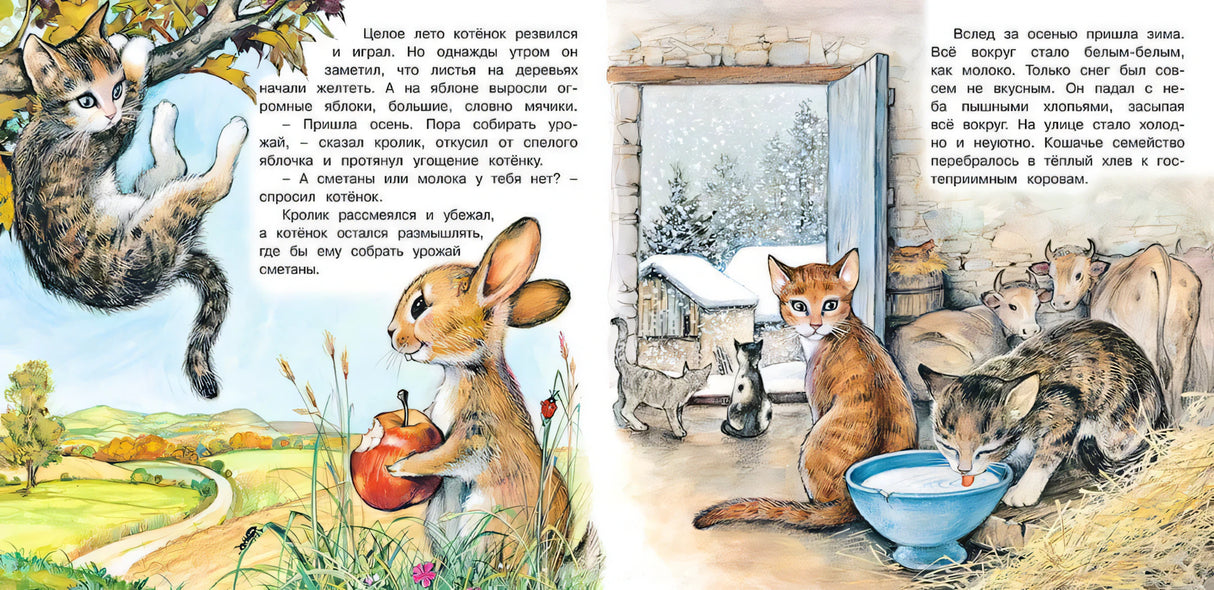 Приключения котёнка