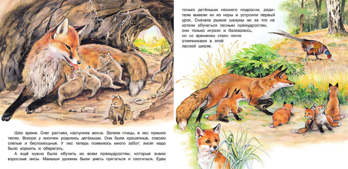 Приключения лисёнка