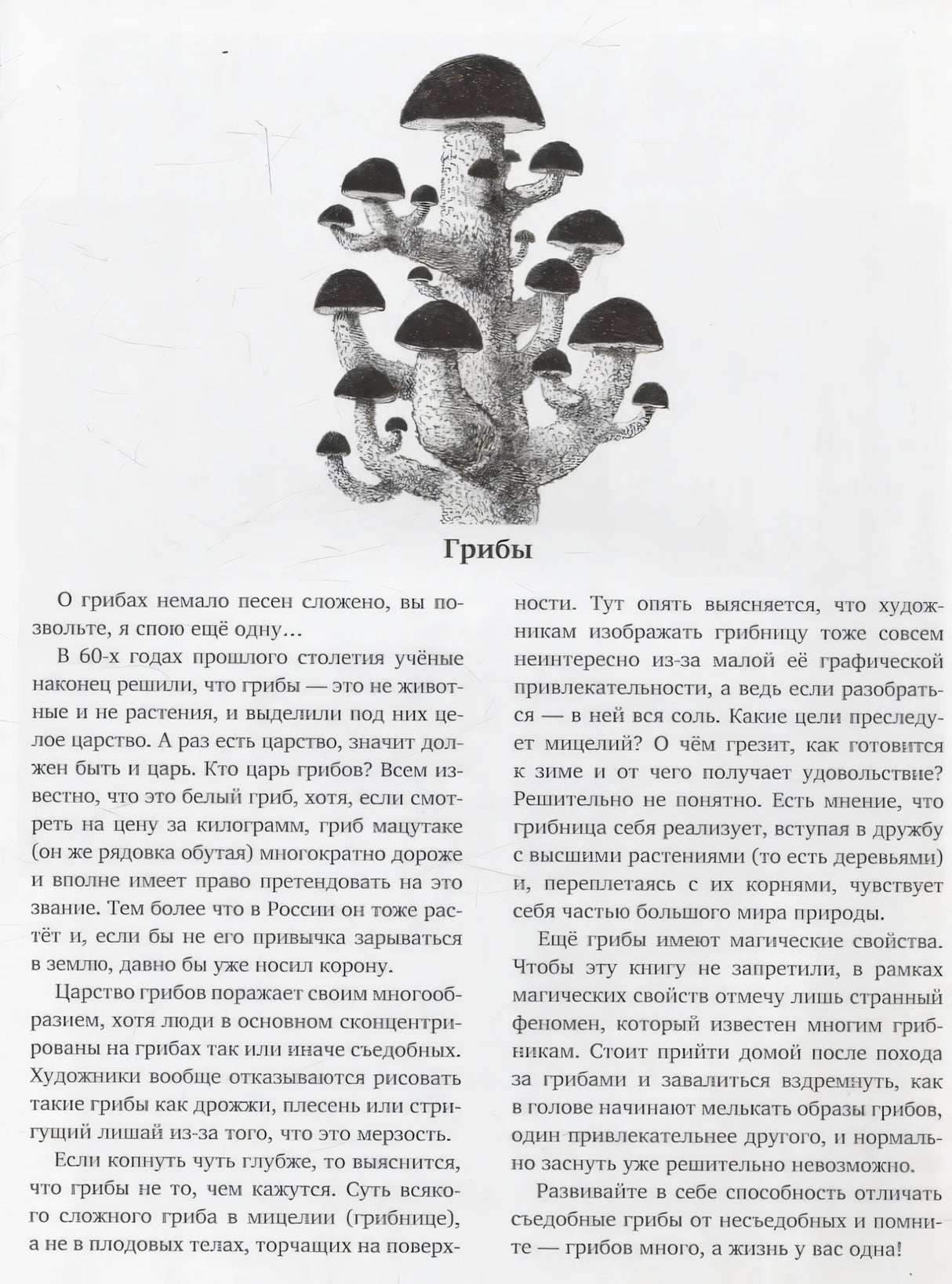 Природоведение 9785605206606