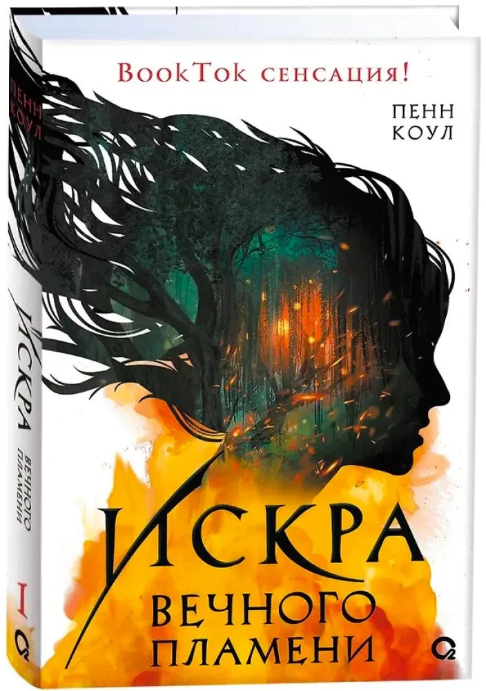 Обложка книги «Искра вечного пламени», Пенн Коул