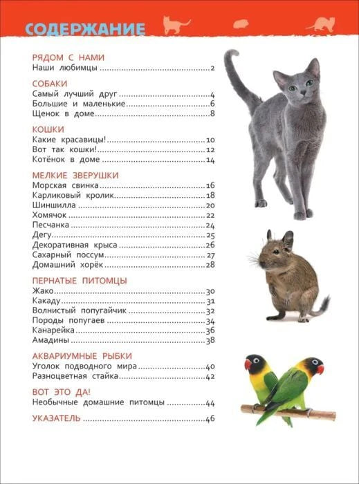 Содержание книги о домашних питомцах