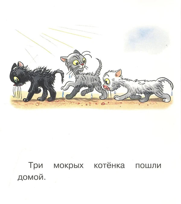 Три мокрых котёнка пошли домой