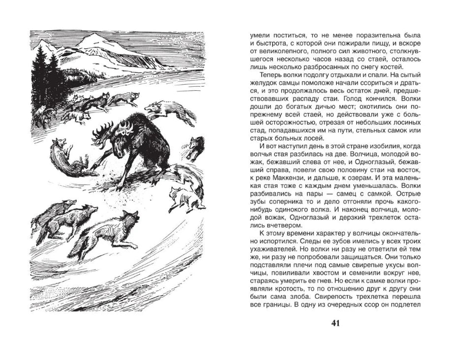 Разворот: иллюстрация с волками и лосем, стр. 41