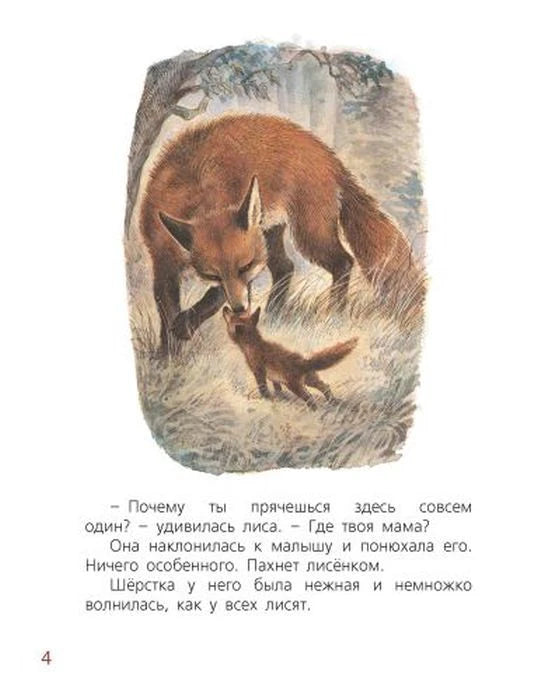 Страница 4 с цветной иллюстрацией лисы, наклонившейся к лисёнку