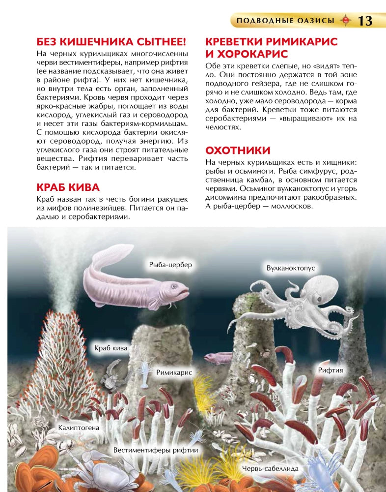 Подводный мир. Детская книга