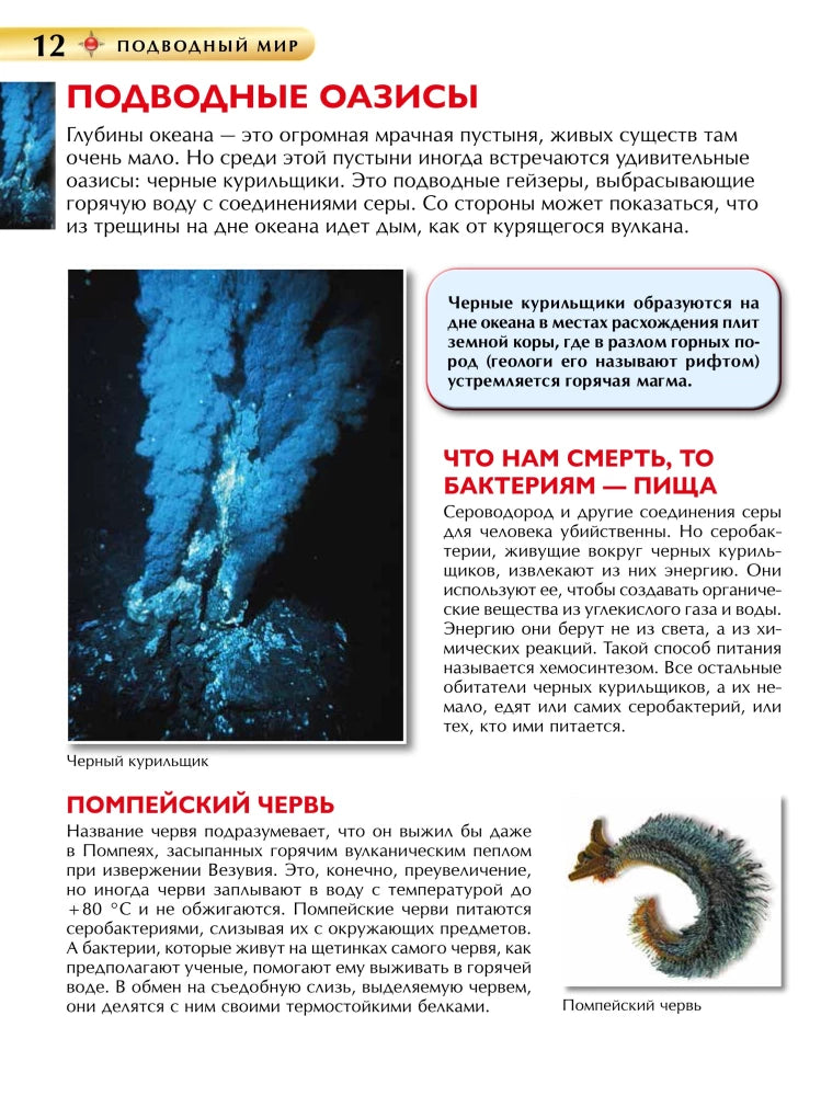 Подводный мир. Детская книга