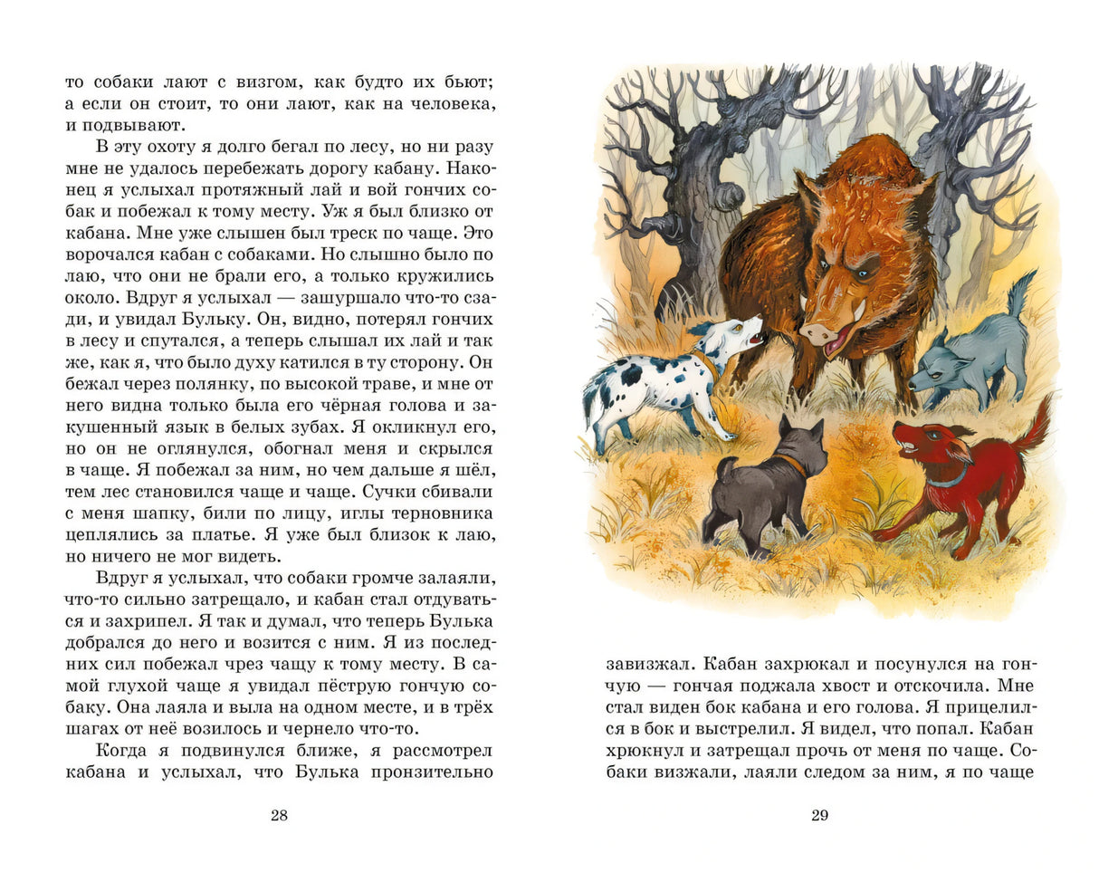 Разворот с рассказом о Бульке и кабане, с большой лесной иллюстрацией.