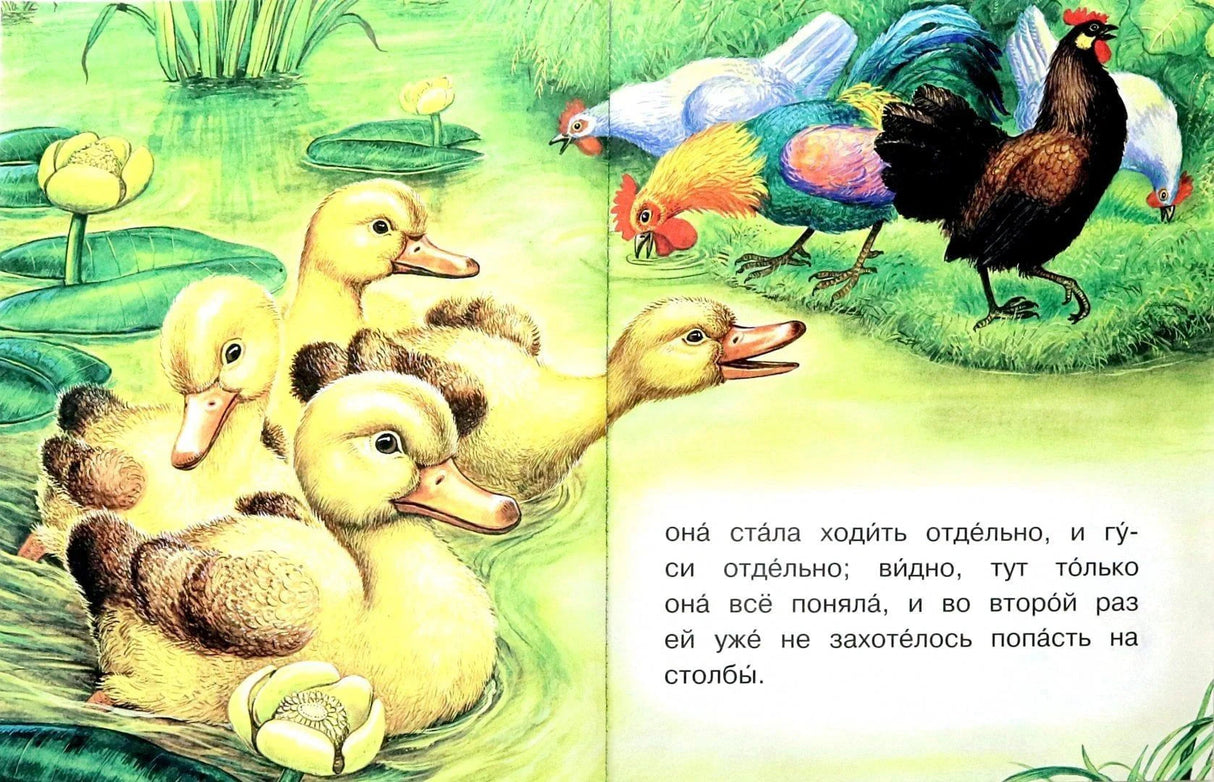 Разворот с иллюстрацией: утята у воды и куры на берегу