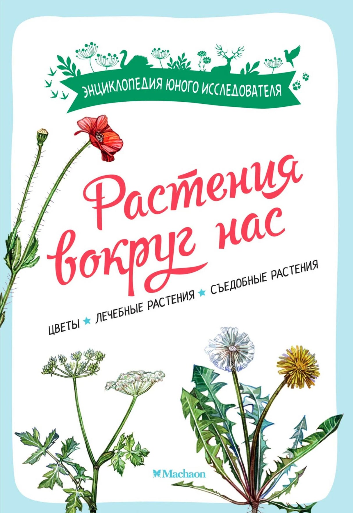 Обложка книги «Растения вокруг нас» с ботаническими рисунками мака и одуванчика.