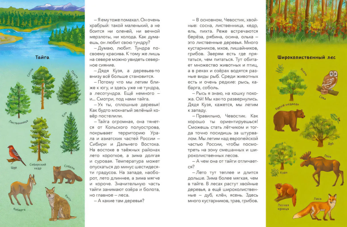 Россия. Большая энциклопедия Чевостика (переупаковка) 9785002140497