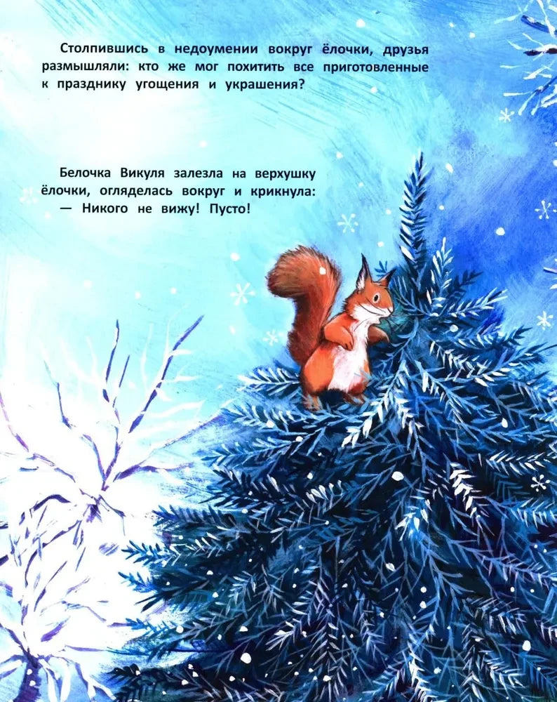 Белочка сидит на заснеженной ели и ищет похитителя угощений.