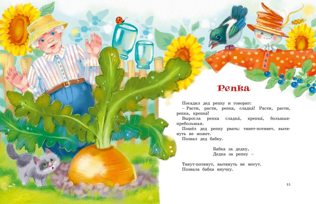 Разворот сказки «Репка» с дедом, большой репкой и котёнком.