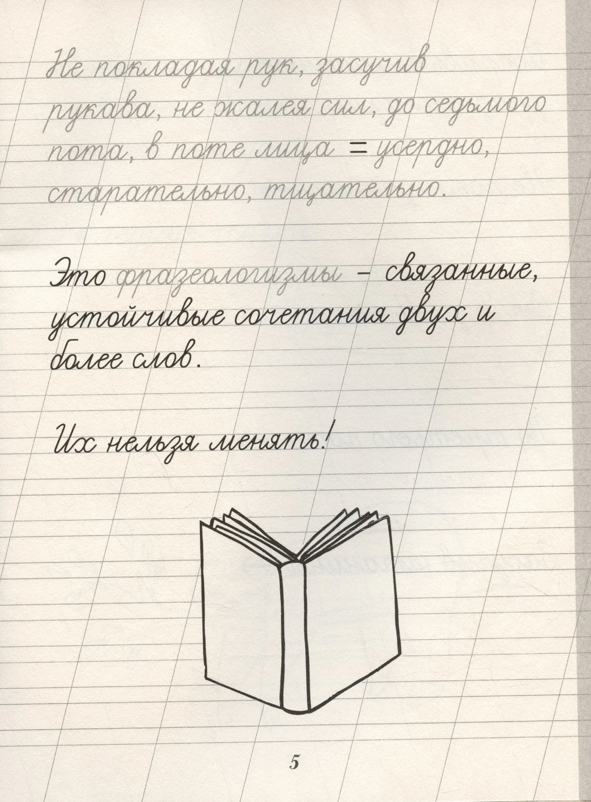 Страница 5 с определением фразеологизмов и рисунком раскрытой книги.