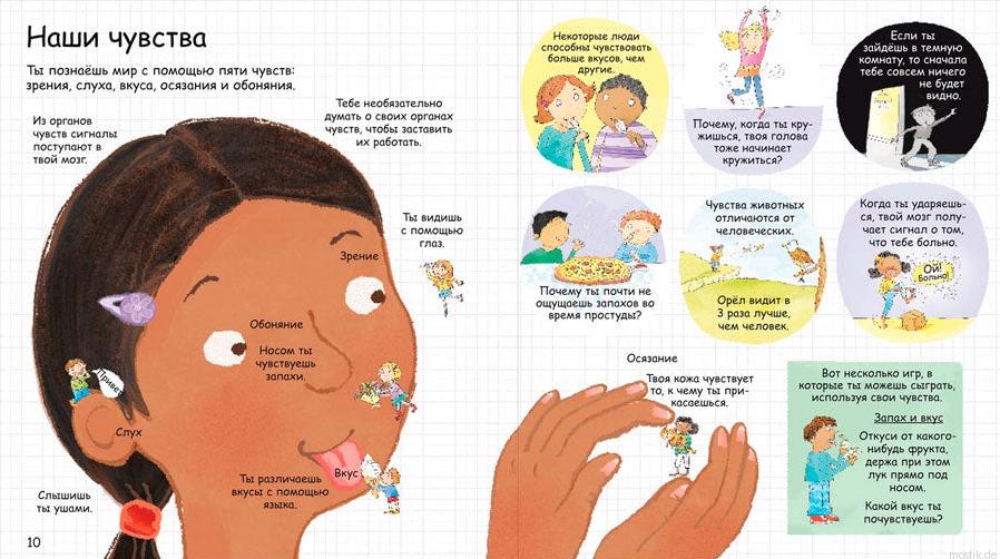 Иллюстрация из книги "Секреты человека" о том, как работают органы чувств.