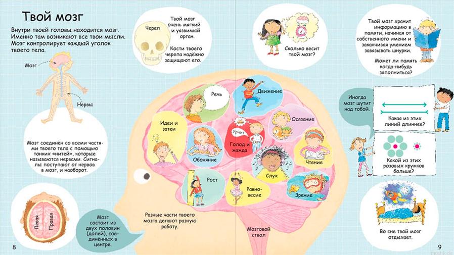Иллюстрация из книги "Секреты человека" о строении мозга.