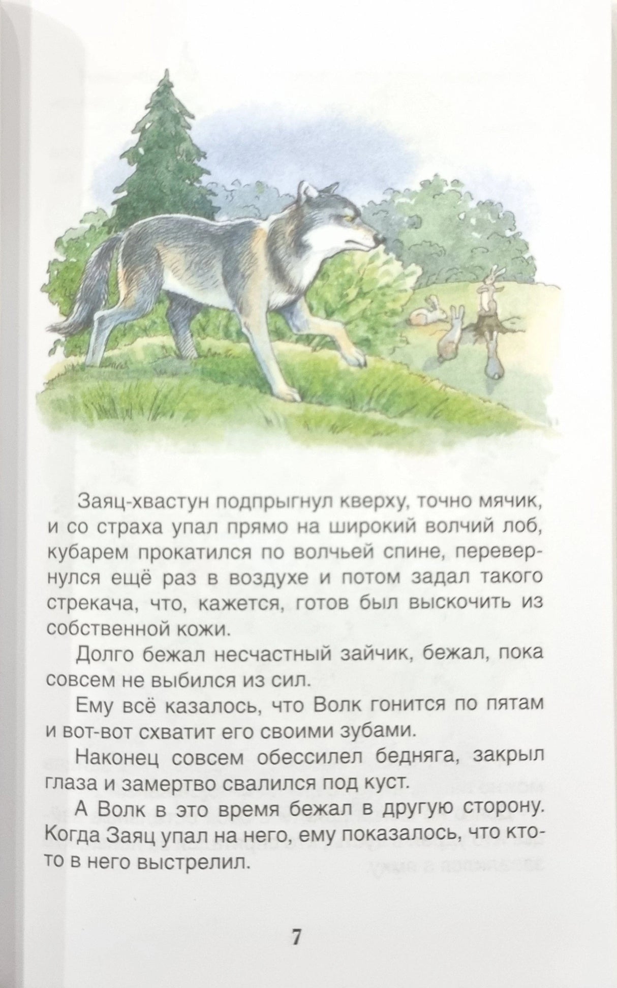 Серая Шейка. Аленушкины сказки 9785353112983