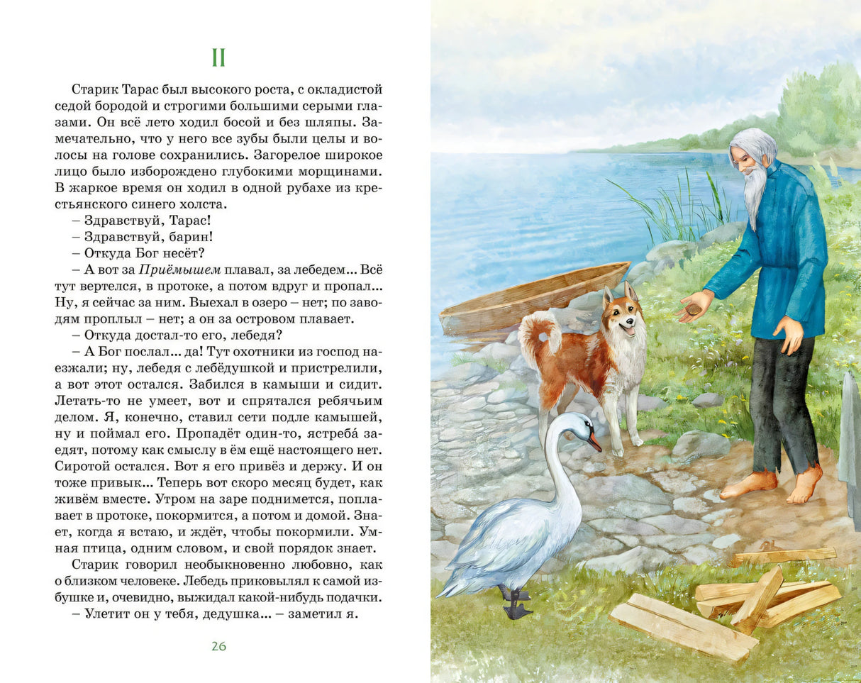 Разворот с текстом и рисунком: старик Тарас у озера рядом с лебедем и собакой