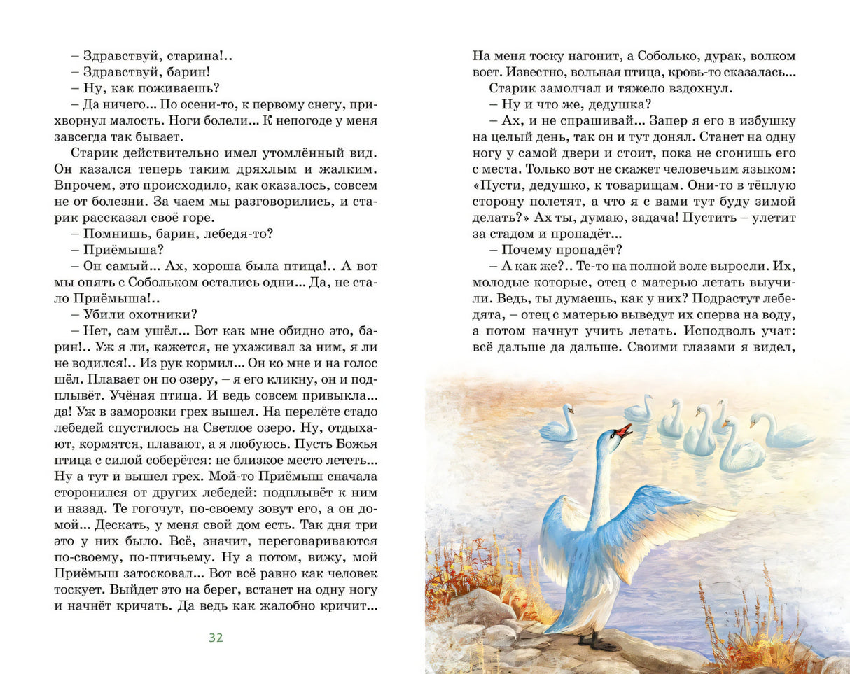 Разворот с текстом и рисунком: лебедь на берегу и стая на воде