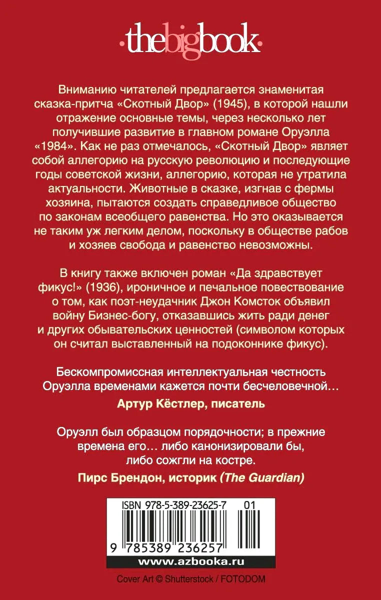 Задняя обложка с аннотацией, отзывами, штрихкодом и логотипом thebigbook.