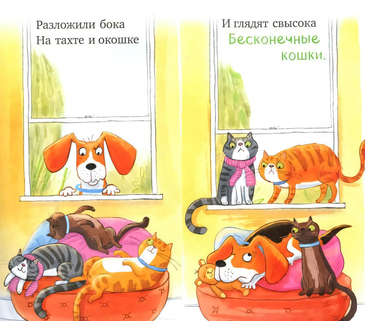 Слишком много котов null - 6