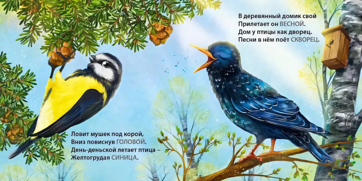 Такие разные птицы. Загадки - рифмы null - 3
