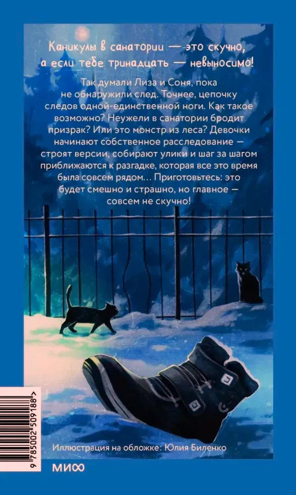Задняя обложка с аннотацией, чёрными котами и ботинком на снегу.