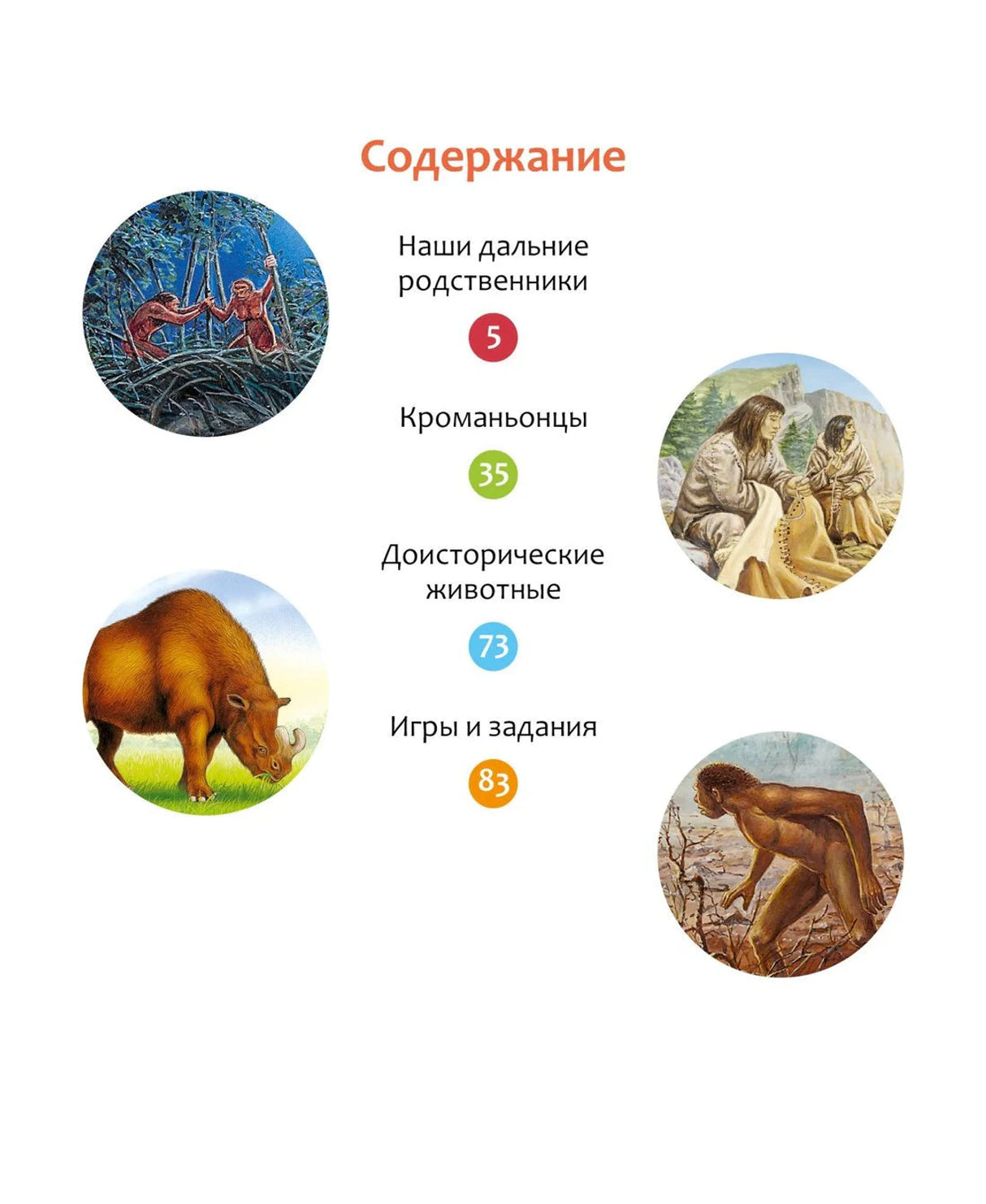 Страница содержания с разделами книги и круглыми иллюстрациями