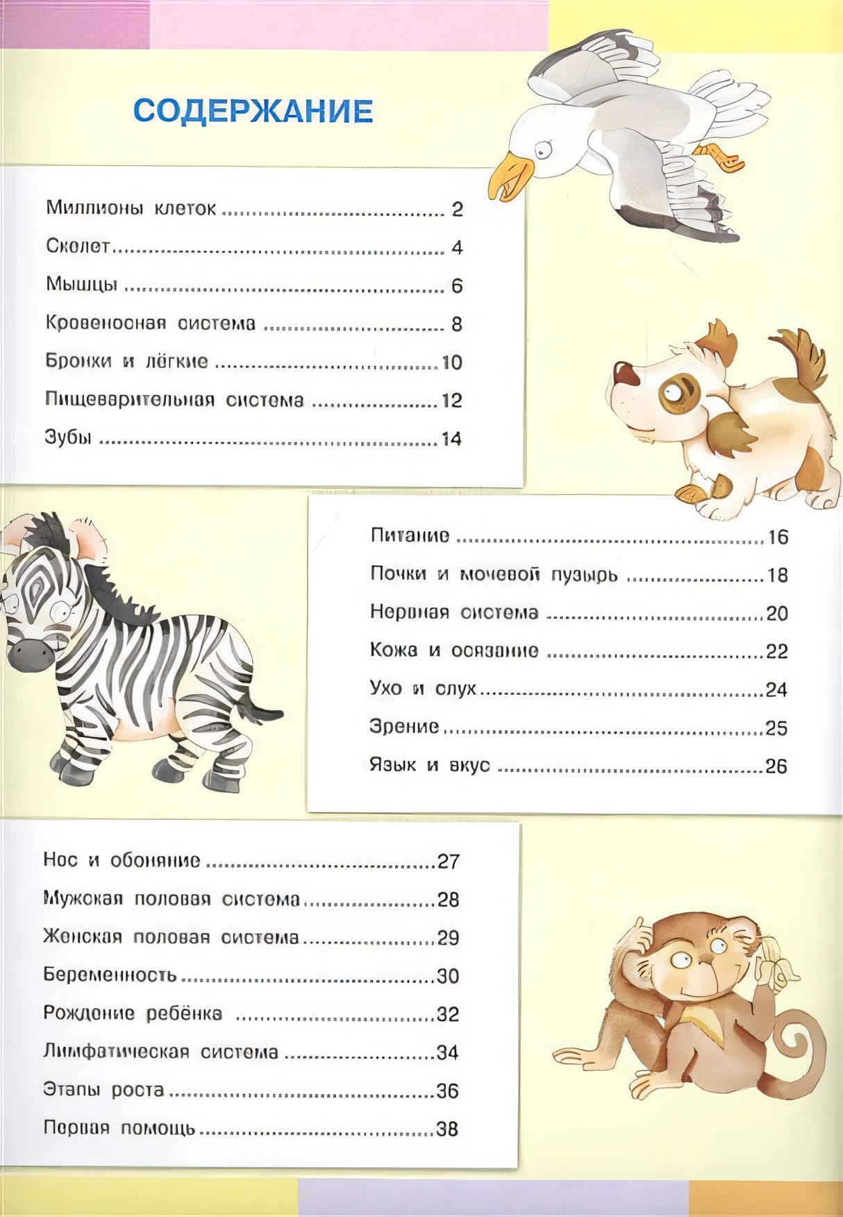 Тело человека. Моя первая энциклопедия с наклейками 978-5-465-03886-7 - 0